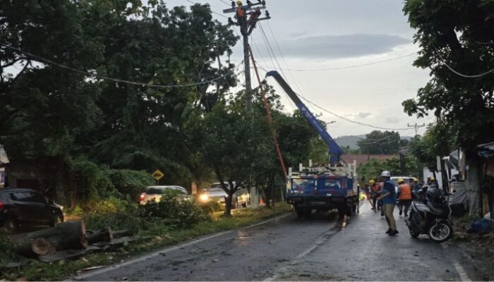 Pemulihan Listrik 100 Persen di Lampung Usai Hujan Lebat dan Angin Kencang